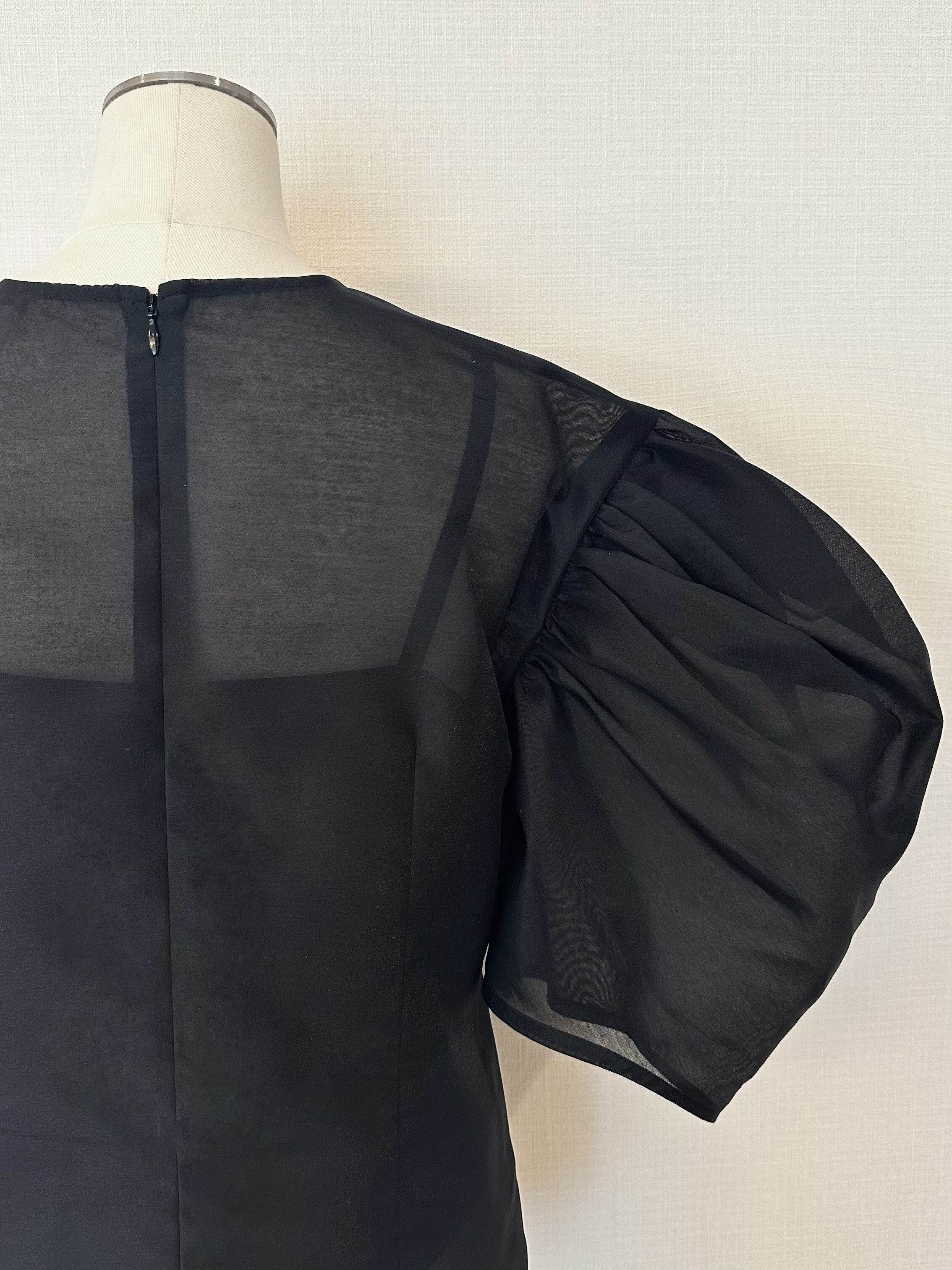 バックパフスリーブシースルートップス Nadine