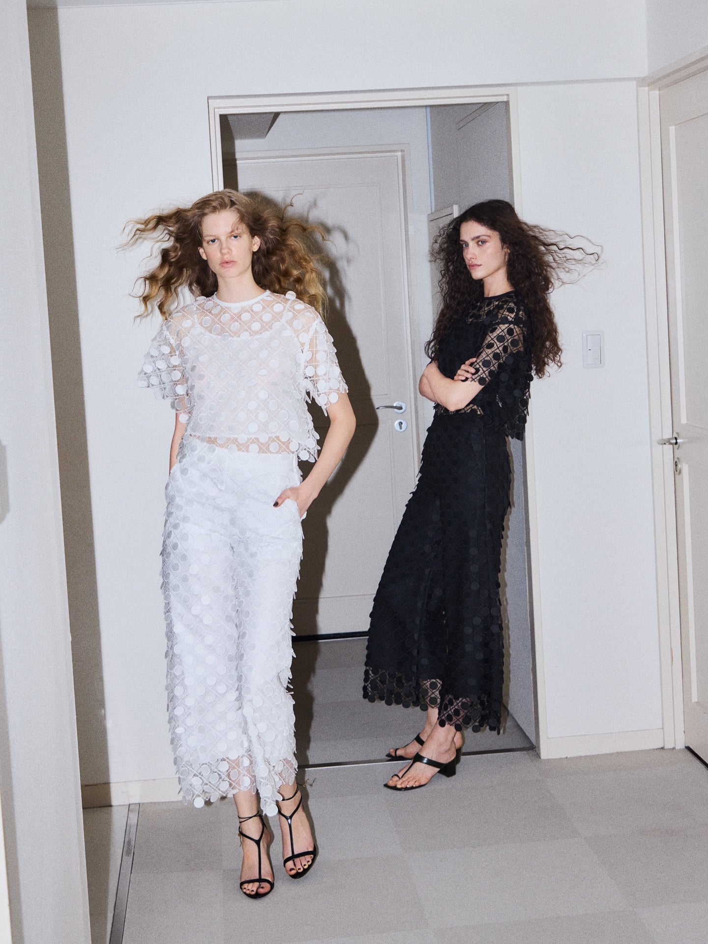 Lace top Jamin｜Cygne(シーニュ) 公式サイト