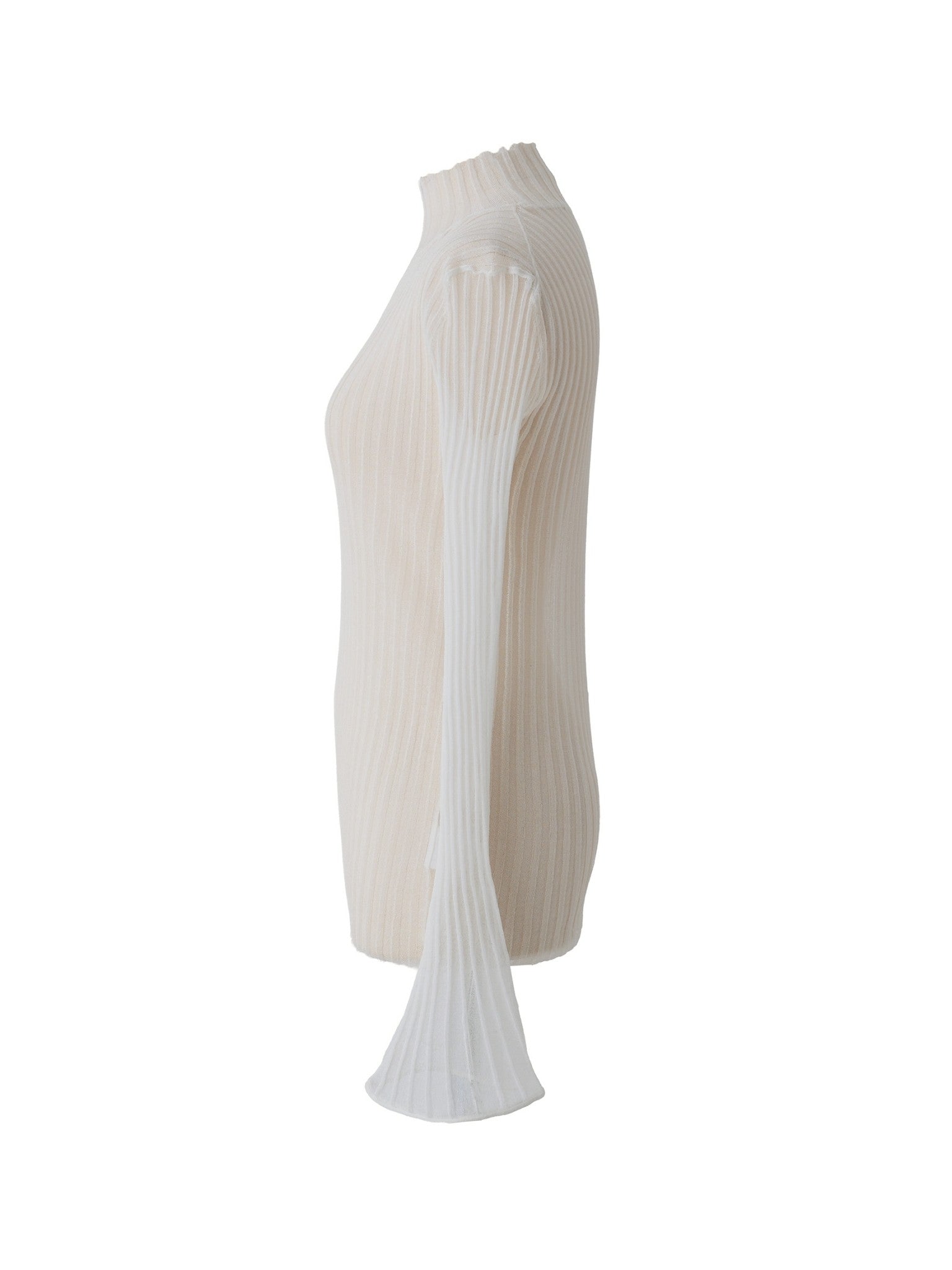 シアーリブタートル Rosa